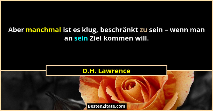 Aber manchmal ist es klug, beschränkt zu sein – wenn man an sein Ziel kommen will.... - D.H. Lawrence
