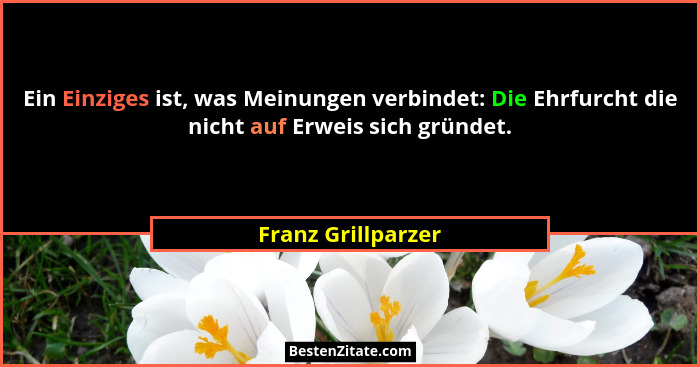 Ein Einziges ist, was Meinungen verbindet: Die Ehrfurcht die nicht auf Erweis sich gründet.... - Franz Grillparzer