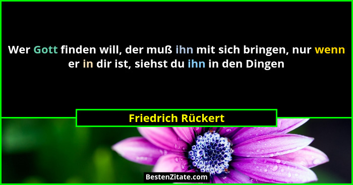Wer Gott finden will, der muß ihn mit sich bringen, nur wenn er in dir ist, siehst du ihn in den Dingen... - Friedrich Rückert