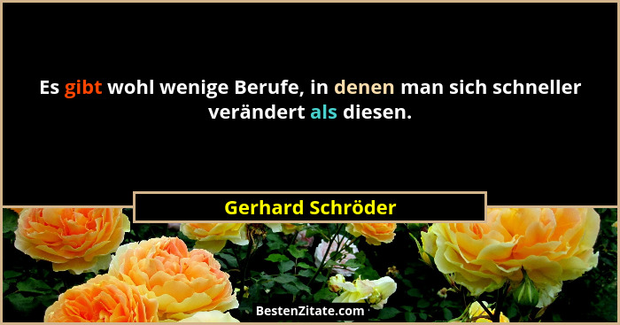 Es gibt wohl wenige Berufe, in denen man sich schneller verändert als diesen.... - Gerhard Schröder
