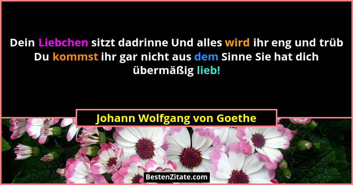 Dein Liebchen sitzt dadrinne Und alles wird ihr eng und trüb Du kommst ihr gar nicht aus dem Sinne Sie hat dich übermäßig... - Johann Wolfgang von Goethe