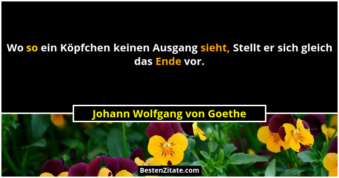 Wo so ein Köpfchen keinen Ausgang sieht, Stellt er sich gleich das Ende vor.... - Johann Wolfgang von Goethe