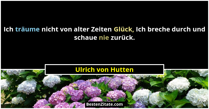 Ich träume nicht von alter Zeiten Glück, Ich breche durch und schaue nie zurück.... - Ulrich von Hutten