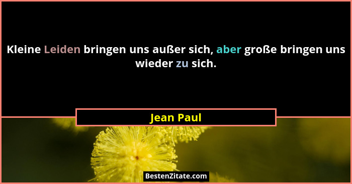 Kleine Leiden bringen uns außer sich, aber große bringen uns wieder zu sich.... - Jean Paul