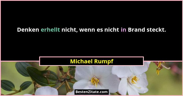 Denken erhellt nicht, wenn es nicht in Brand steckt.... - Michael Rumpf