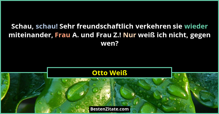 Schau, schau! Sehr freundschaftlich verkehren sie wieder miteinander, Frau A. und Frau Z.! Nur weiß ich nicht, gegen wen?... - Otto Weiß