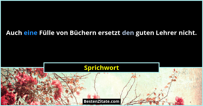 Auch eine Fülle von Büchern ersetzt den guten Lehrer nicht.... - Sprichwort