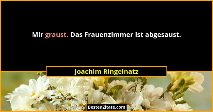 Mir graust. Das Frauenzimmer ist abgesaust.... - Joachim Ringelnatz