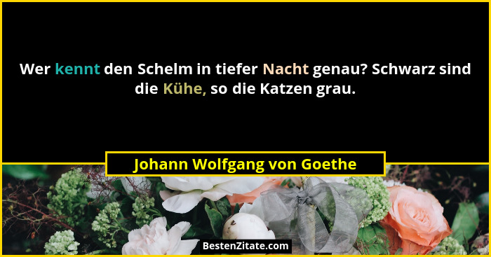 Wer kennt den Schelm in tiefer Nacht genau? Schwarz sind die Kühe, so die Katzen grau.... - Johann Wolfgang von Goethe