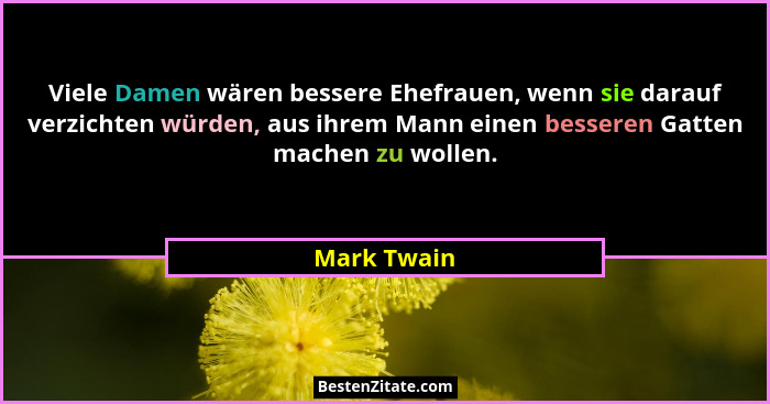 Viele Damen wären bessere Ehefrauen, wenn sie darauf verzichten würden, aus ihrem Mann einen besseren Gatten machen zu wollen.... - Mark Twain