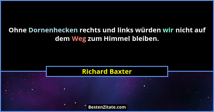 Ohne Dornenhecken rechts und links würden wir nicht auf dem Weg zum Himmel bleiben.... - Richard Baxter