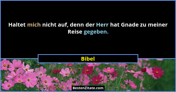 Haltet mich nicht auf, denn der Herr hat Gnade zu meiner Reise gegeben.... - Bibel
