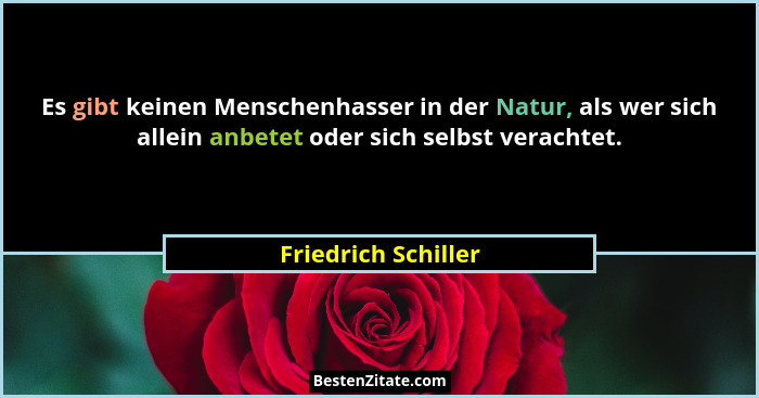 Es gibt keinen Menschenhasser in der Natur, als wer sich allein anbetet oder sich selbst verachtet.... - Friedrich Schiller