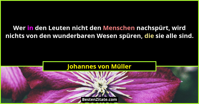 Wer in den Leuten nicht den Menschen nachspürt, wird nichts von den wunderbaren Wesen spüren, die sie alle sind.... - Johannes von Müller