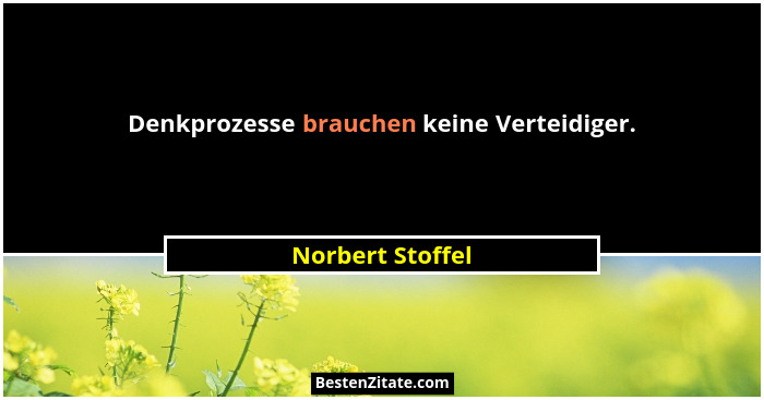 Denkprozesse brauchen keine Verteidiger.... - Norbert Stoffel