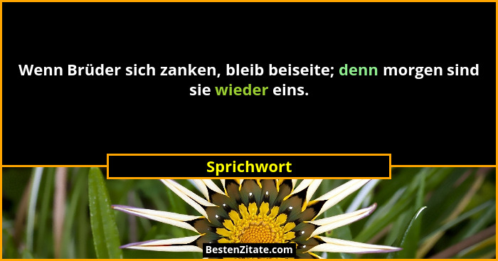 Wenn Brüder sich zanken, bleib beiseite; denn morgen sind sie wieder eins.... - Sprichwort