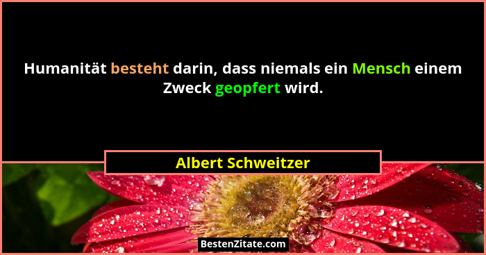 Humanität besteht darin, dass niemals ein Mensch einem Zweck geopfert wird.... - Albert Schweitzer