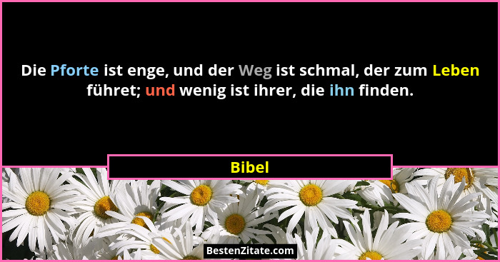 Die Pforte ist enge, und der Weg ist schmal, der zum Leben führet; und wenig ist ihrer, die ihn finden.... - Bibel