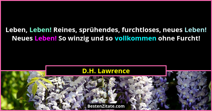 Leben, Leben! Reines, sprühendes, furchtloses, neues Leben! Neues Leben! So winzig und so vollkommen ohne Furcht!... - D.H. Lawrence