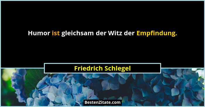 Humor ist gleichsam der Witz der Empfindung.... - Friedrich Schlegel