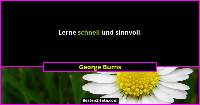 Lerne schnell und sinnvoll.... - George Burns