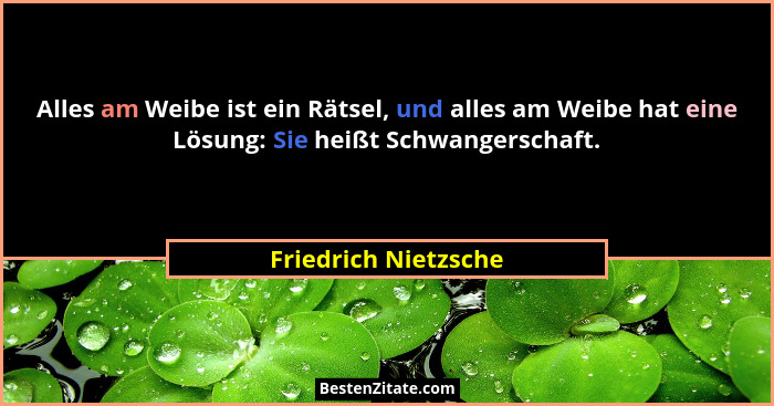 Alles am Weibe ist ein Rätsel, und alles am Weibe hat eine Lösung: Sie heißt Schwangerschaft.... - Friedrich Nietzsche