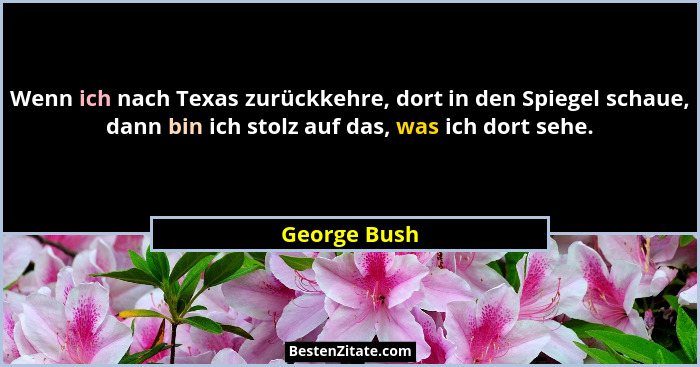 Wenn ich nach Texas zurückkehre, dort in den Spiegel schaue, dann bin ich stolz auf das, was ich dort sehe.... - George Bush