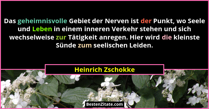 Das geheimnisvolle Gebiet der Nerven ist der Punkt, wo Seele und Leben in einem inneren Verkehr stehen und sich wechselweise zur T... - Heinrich Zschokke