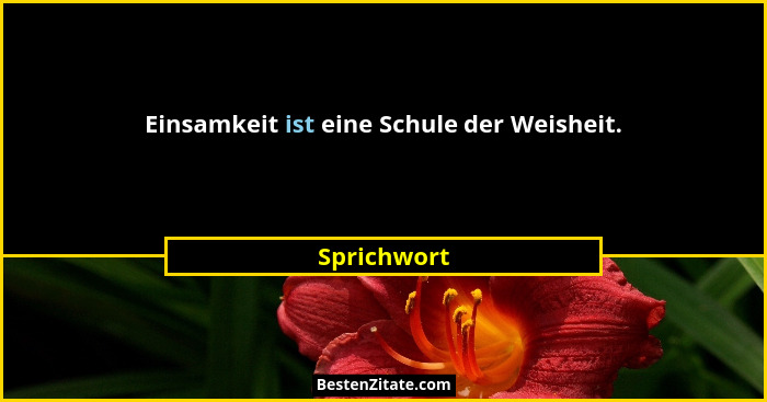 Einsamkeit ist eine Schule der Weisheit.... - Sprichwort
