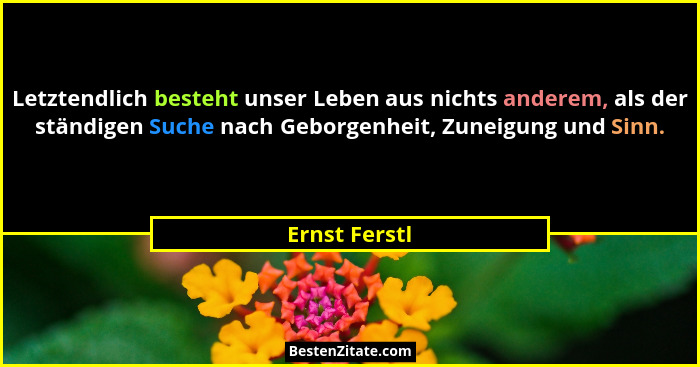Letztendlich besteht unser Leben aus nichts anderem, als der ständigen Suche nach Geborgenheit, Zuneigung und Sinn.... - Ernst Ferstl