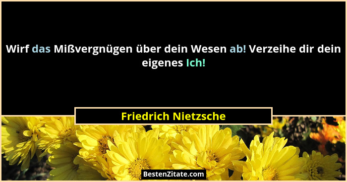 Wirf das Mißvergnügen über dein Wesen ab! Verzeihe dir dein eigenes Ich!... - Friedrich Nietzsche