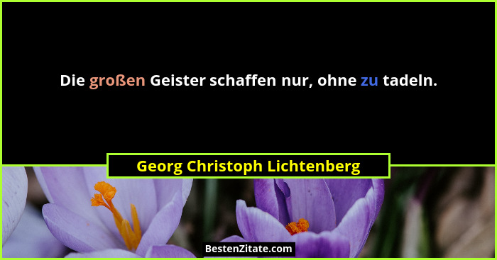 Die großen Geister schaffen nur, ohne zu tadeln.... - Georg Christoph Lichtenberg