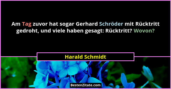 Am Tag zuvor hat sogar Gerhard Schröder mit Rücktritt gedroht, und viele haben gesagt: Rücktritt? Wovon?... - Harald Schmidt