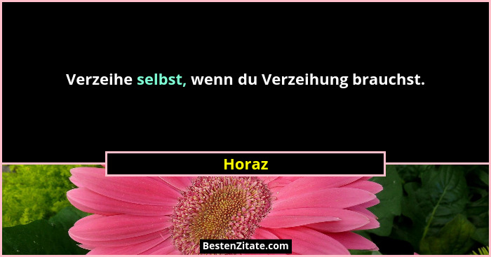 Verzeihe selbst, wenn du Verzeihung brauchst.... - Horaz