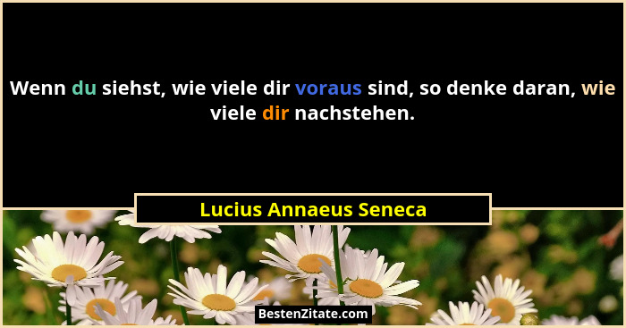 Wenn du siehst, wie viele dir voraus sind, so denke daran, wie viele dir nachstehen.... - Lucius Annaeus Seneca