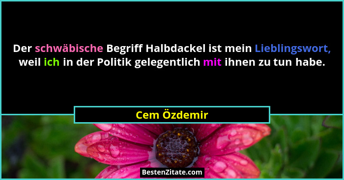 Der schwäbische Begriff Halbdackel ist mein Lieblingswort, weil ich in der Politik gelegentlich mit ihnen zu tun habe.... - Cem Özdemir