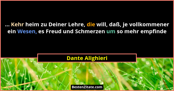 ... Kehr heim zu Deiner Lehre, die will, daß, je vollkommener ein Wesen, es Freud und Schmerzen um so mehr empfinde... - Dante Alighieri