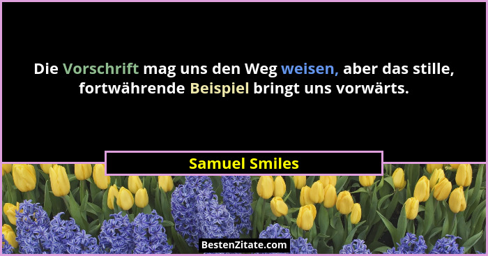 Die Vorschrift mag uns den Weg weisen, aber das stille, fortwährende Beispiel bringt uns vorwärts.... - Samuel Smiles