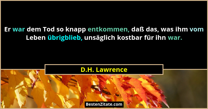 Er war dem Tod so knapp entkommen, daß das, was ihm vom Leben übrigblieb, unsäglich kostbar für ihn war.... - D.H. Lawrence