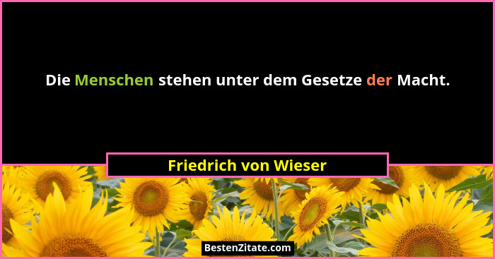 Die Menschen stehen unter dem Gesetze der Macht.... - Friedrich von Wieser