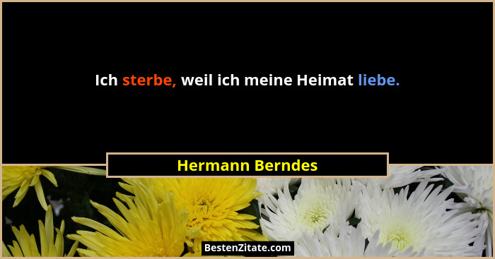 Ich sterbe, weil ich meine Heimat liebe.... - Hermann Berndes