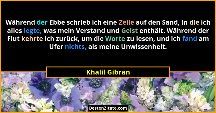 Während der Ebbe schrieb ich eine Zeile auf den Sand, in die ich alles legte, was mein Verstand und Geist enthält. Während der Flut ke... - Khalil Gibran