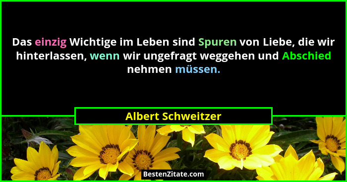 Das einzig Wichtige im Leben sind Spuren von Liebe, die wir hinterlassen, wenn wir ungefragt weggehen und Abschied nehmen müssen.... - Albert Schweitzer