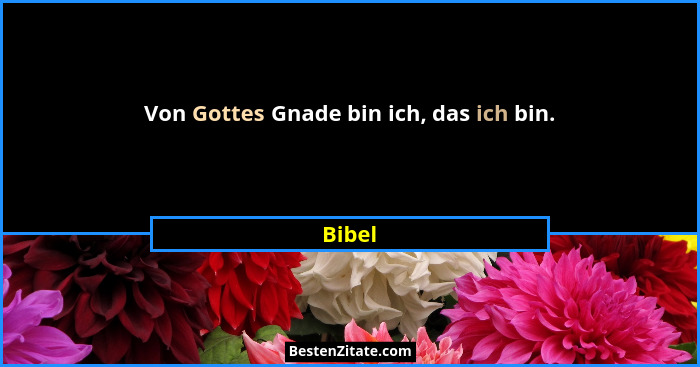 Von Gottes Gnade bin ich, das ich bin.... - Bibel