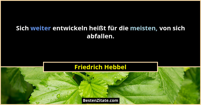 Sich weiter entwickeln heißt für die meisten, von sich abfallen.... - Friedrich Hebbel