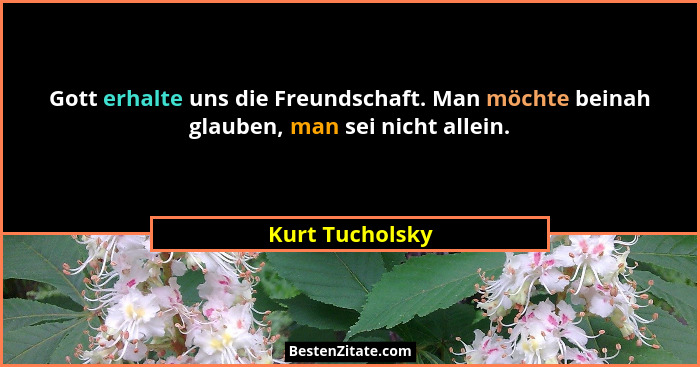 Gott erhalte uns die Freundschaft. Man möchte beinah glauben, man sei nicht allein.... - Kurt Tucholsky