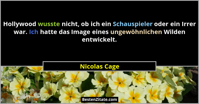 Hollywood wusste nicht, ob ich ein Schauspieler oder ein Irrer war. Ich hatte das Image eines ungewöhnlichen Wilden entwickelt.... - Nicolas Cage