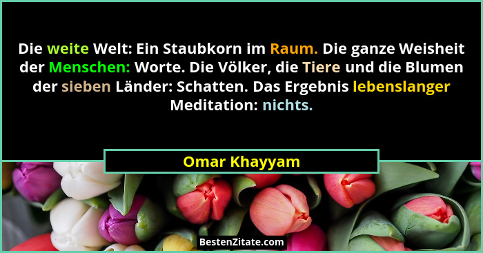Die weite Welt: Ein Staubkorn im Raum. Die ganze Weisheit der Menschen: Worte. Die Völker, die Tiere und die Blumen der sieben Länder:... - Omar Khayyam