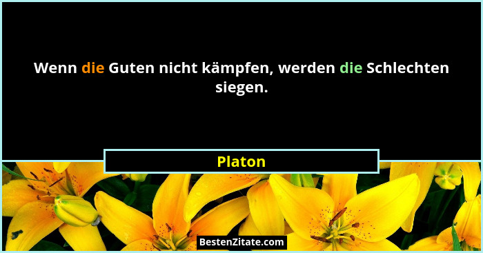Wenn die Guten nicht kämpfen, werden die Schlechten siegen.... - Platon