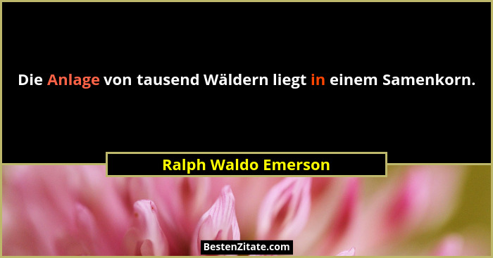Die Anlage von tausend Wäldern liegt in einem Samenkorn.... - Ralph Waldo Emerson